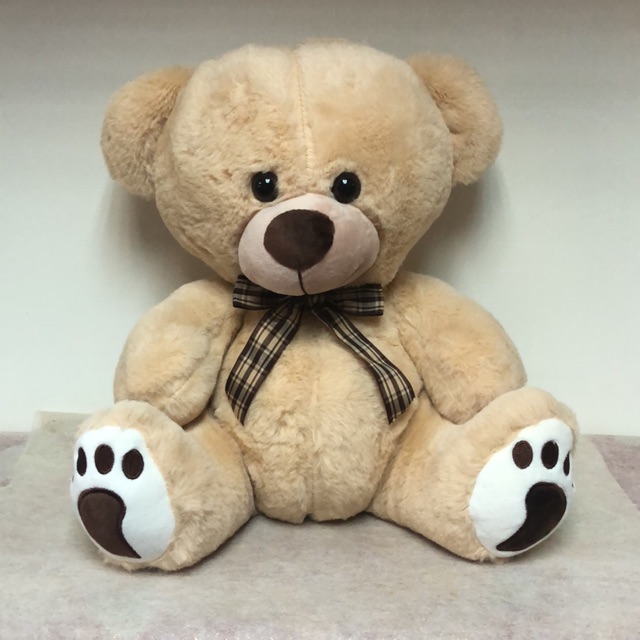 teddy bear in brown colour