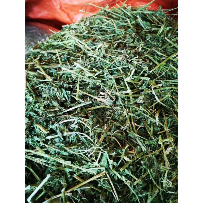 Alfalfa Hay 1kg Rumput Kering Alfalfa 1kg Shopee Malaysia