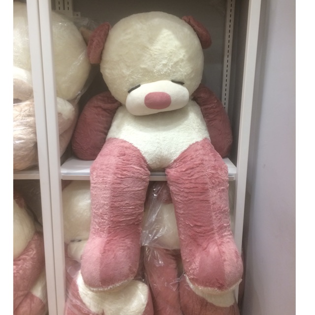 teddy bear big one