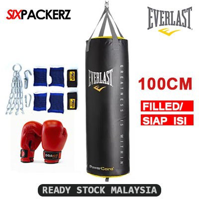 everlast powercore punching bag