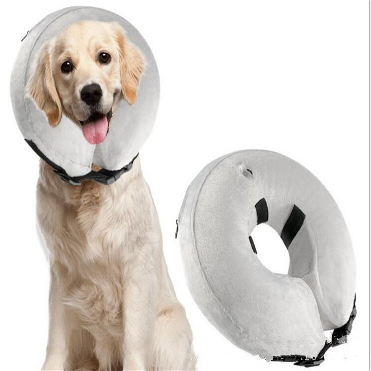 dog anti bite collar