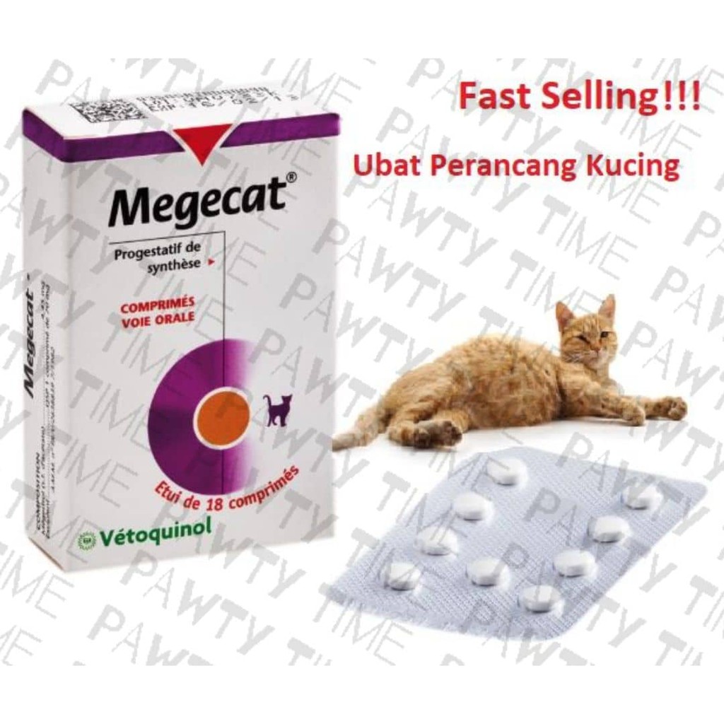 Ubat Perancang Kucing 1 biji Fast Selling (Ready stock 