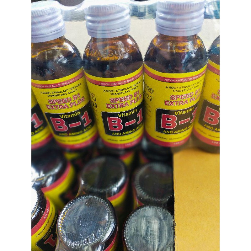 Vitamin Siam B-1 Ready Stock | Shopee Malaysia