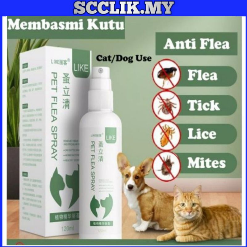 Spray Kutu Kucing, Cat Flea Spray, Pet Deodorant Spray Anti Flea