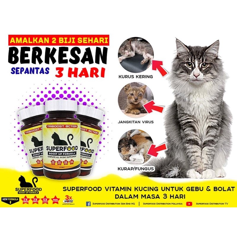 Buy Vitamin SUPERFOOD untuk kucing jadi gemuk, merawat kurap,fugus 