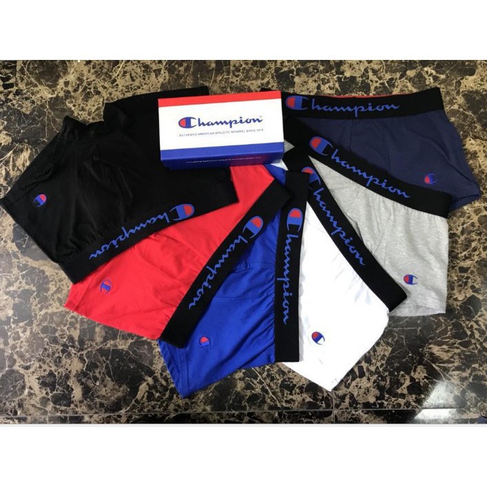 champion men's briefs underwear