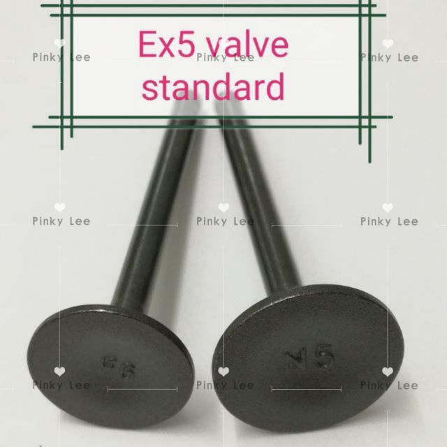 Saiz Valve Standard Ex5