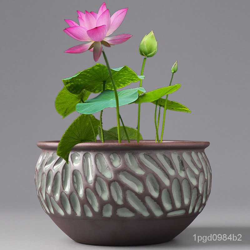 Flower Pot Lotus Basin 紫砂大号荷花缸莲花专用陶瓷水培铜钱草花盆无孔水养睡莲碗莲盆缸