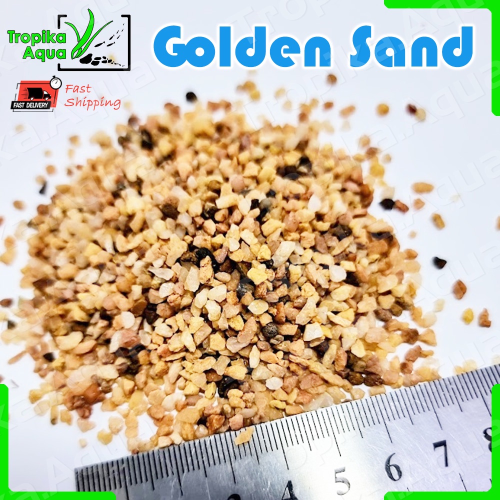 Golden Sand 1kg - substrate aquarium fish tank aquascape pasir | Shopee ...
