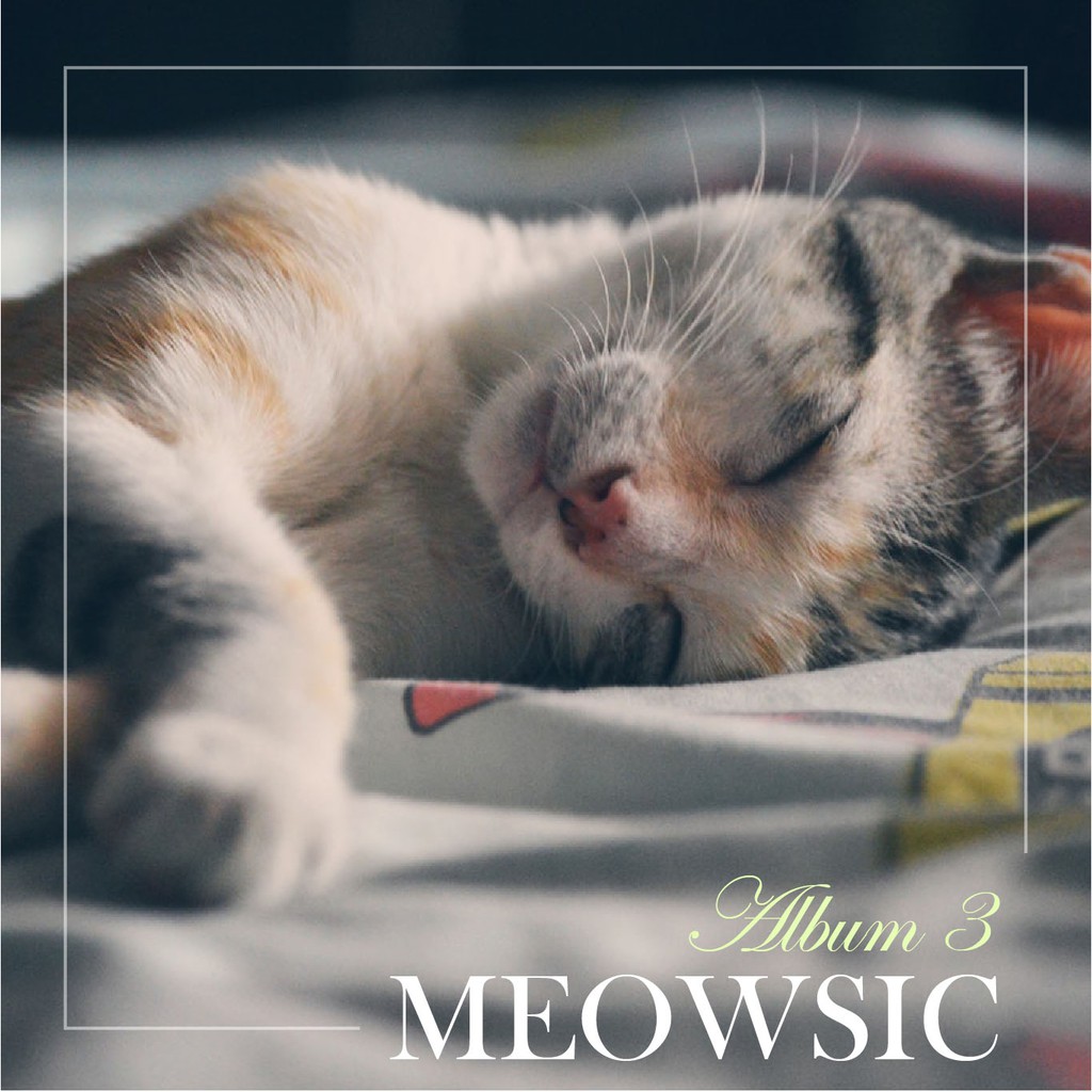 Musik Kucing Tidur Lena Hilang Tekanan Cat Music Relieve Stress 