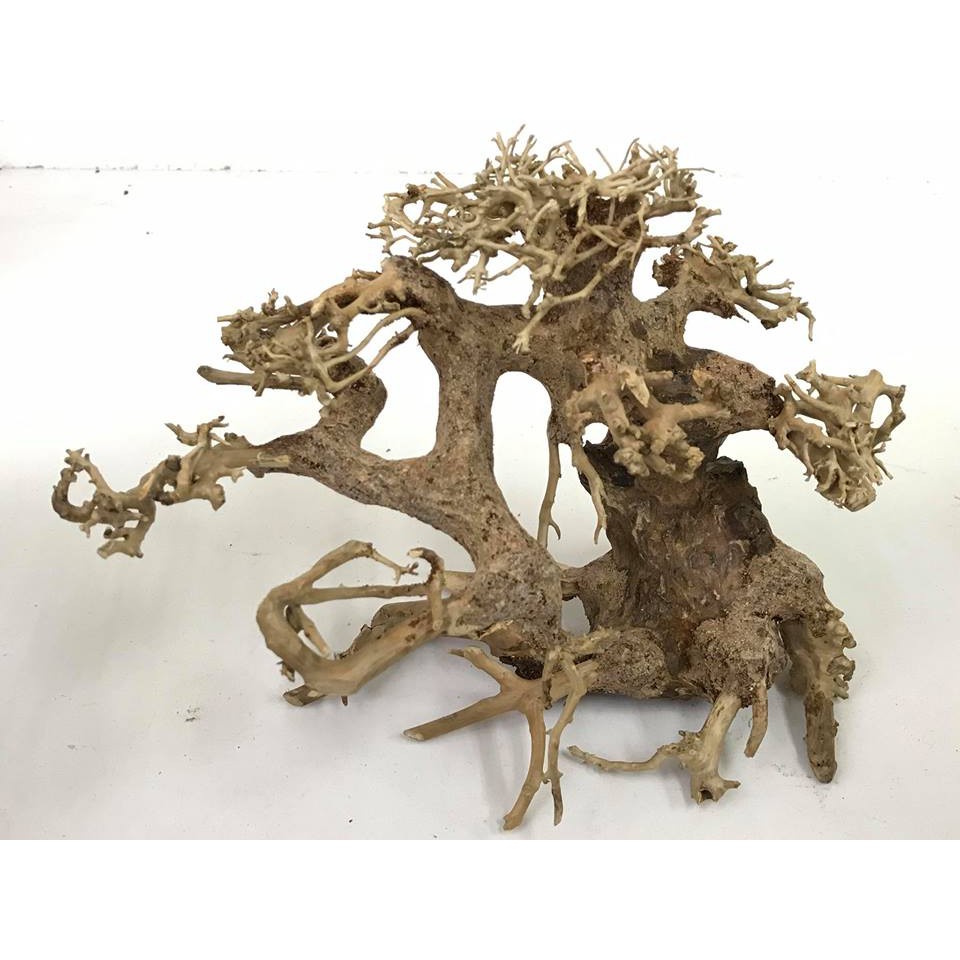 Bonsai Driftwood ( Aquascape / Wood ) Shopee Malaysia