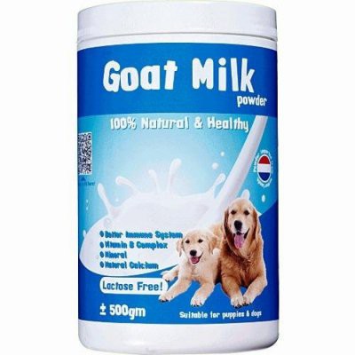 can dogs have lactose free milk