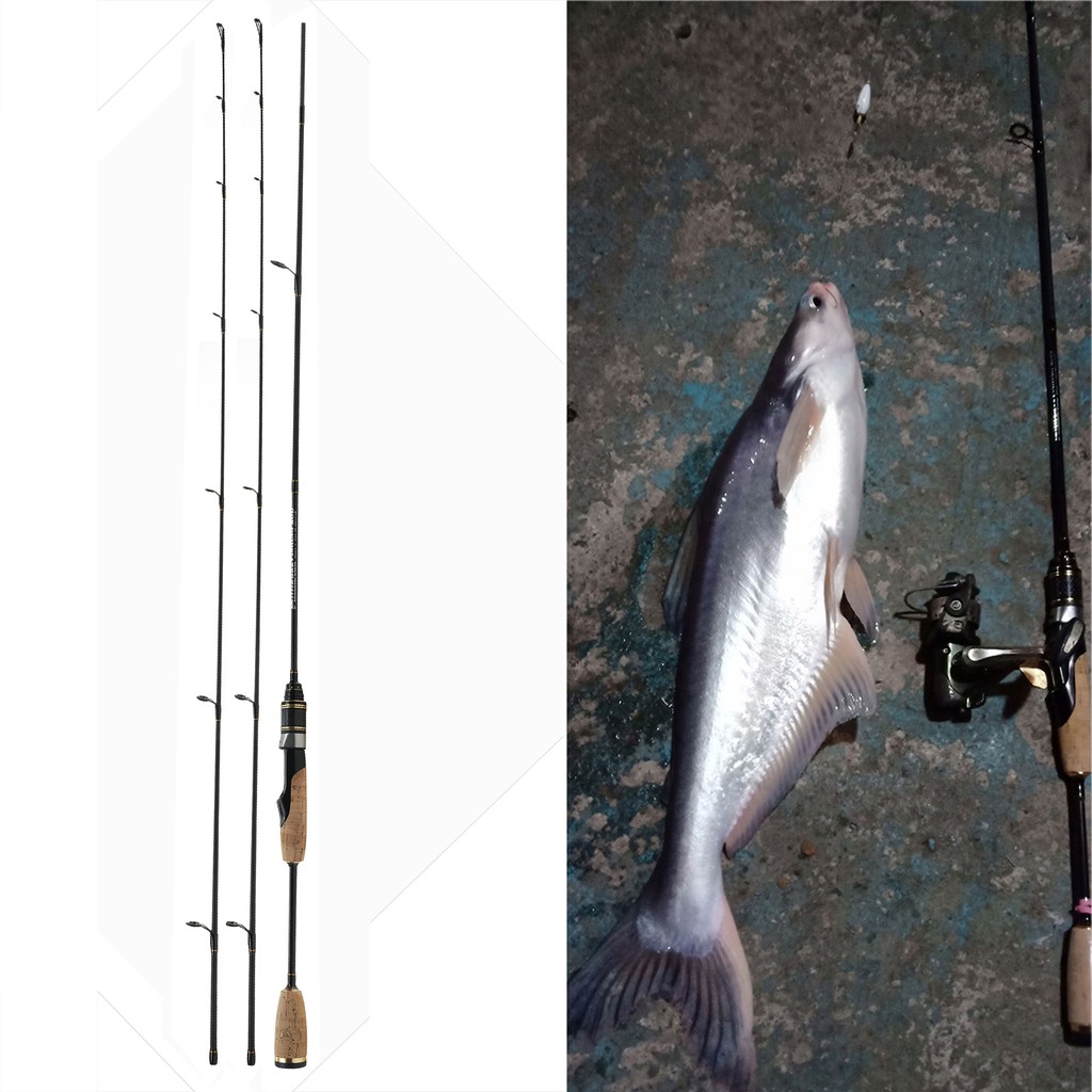 light action spinning rod