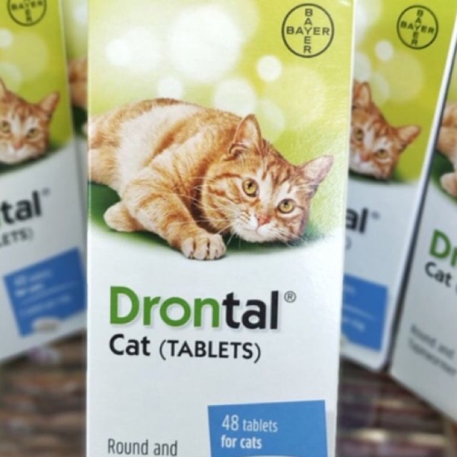 UBAT CACING KUCING DRONTAL 1 biji  Shopee Malaysia