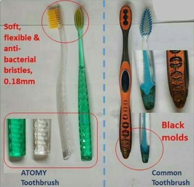 atomy brush