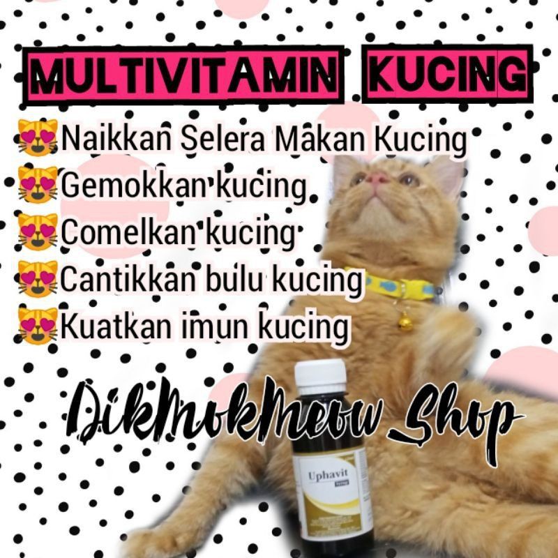 Buy Uphavit vitamin Kucing / Anjing 120ml  SeeTracker Malaysia