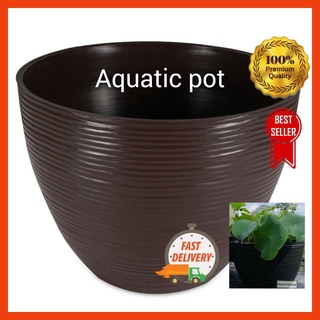 Lotus Pot without hole/ No Hole Lotus Pot/Pasu tanpa lubang | Shopee ...