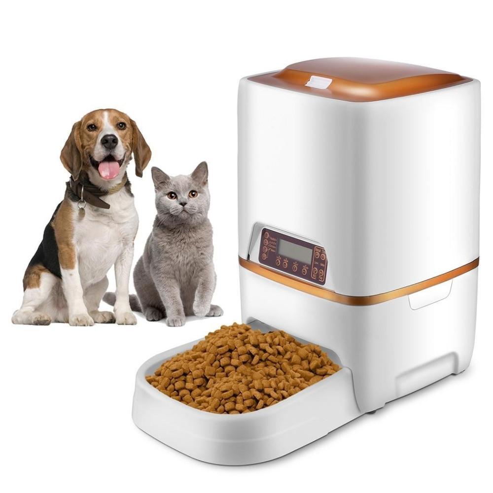 automatic cat food dispenser