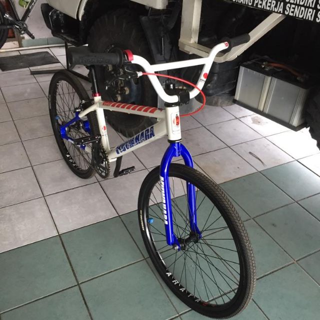 kuwahara freestyle bike