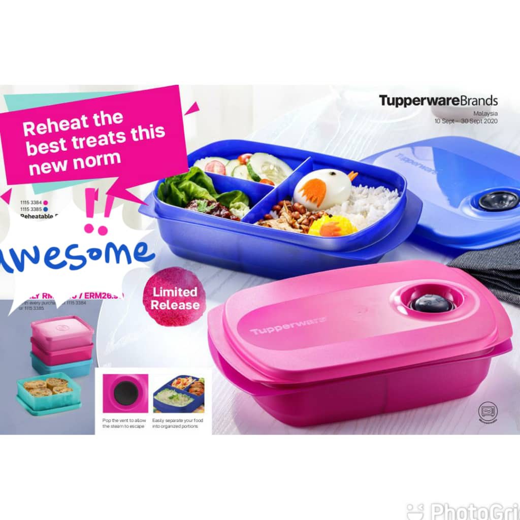 Tupperware Reheatable Divided Dish 1 Liter