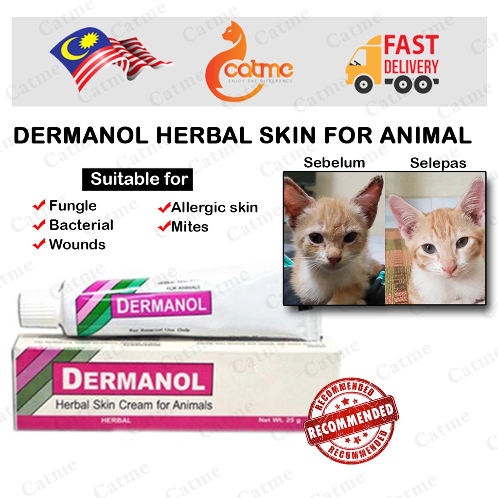 Dermanol Herbal Skin Cream (Ubat Kurap Kucing )  Shopee Malaysia