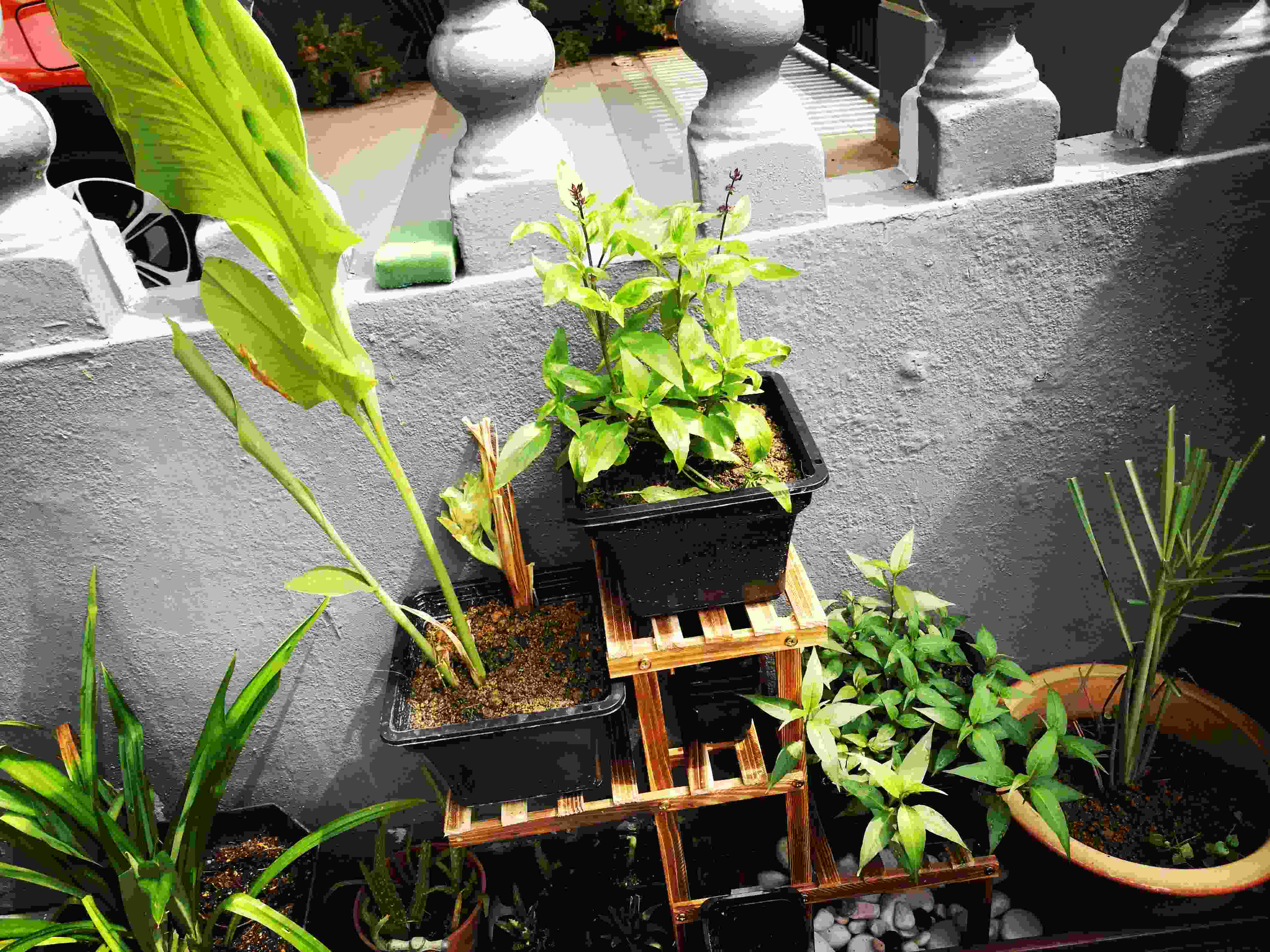 Indoor wooden rak pasu bunga fower pot basic Shopee Malaysia Indoor wooden rak pasu bunga fower pot basic Shopee Malaysia