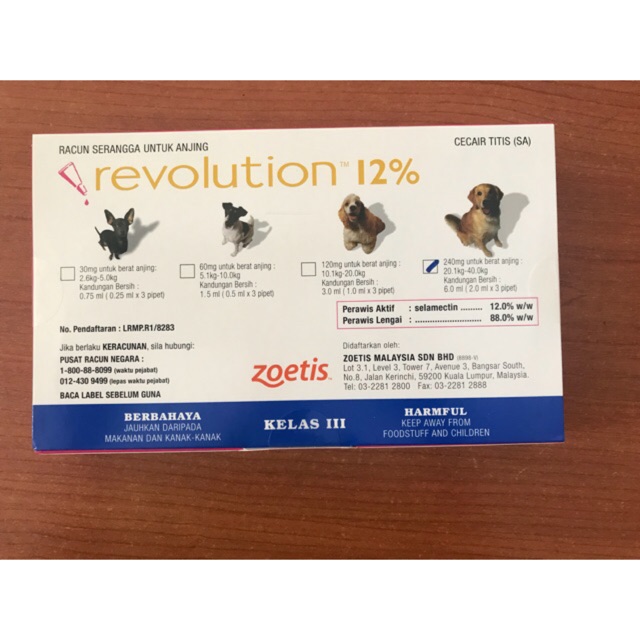 large dog revolution