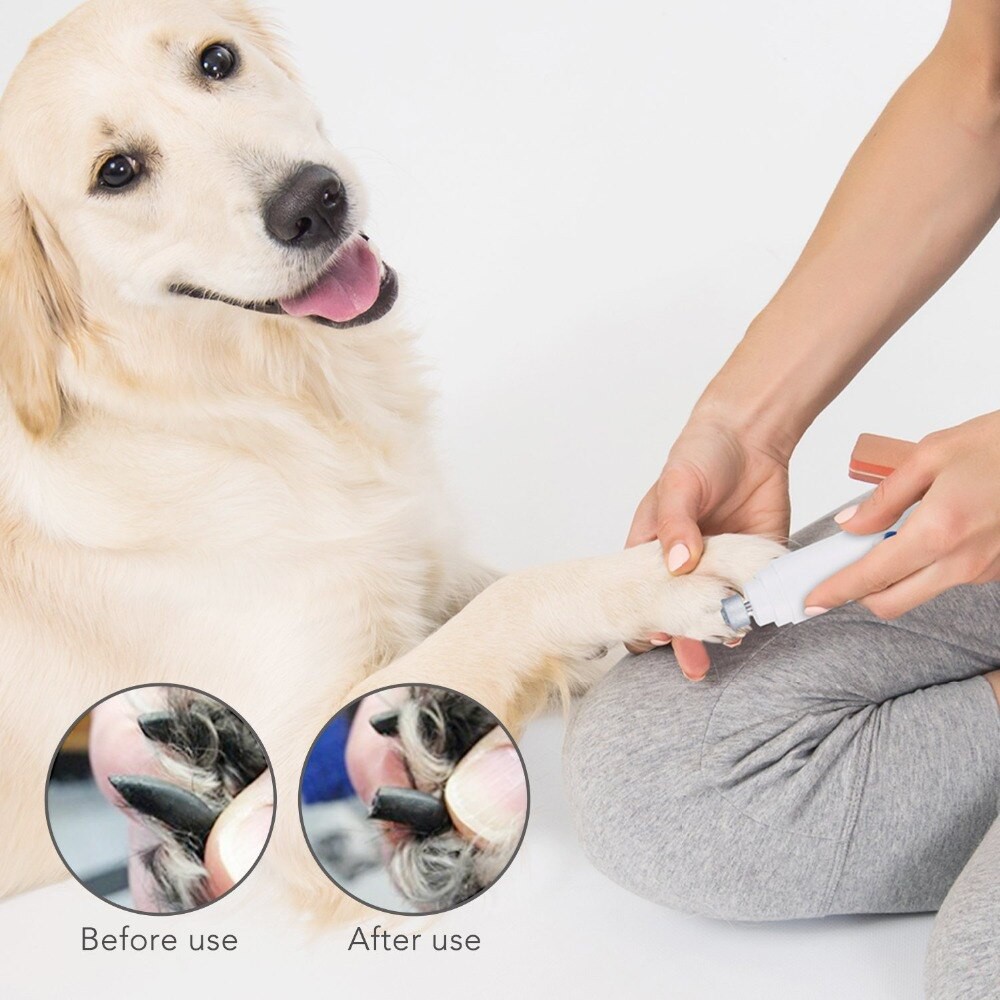 dog nail grooming