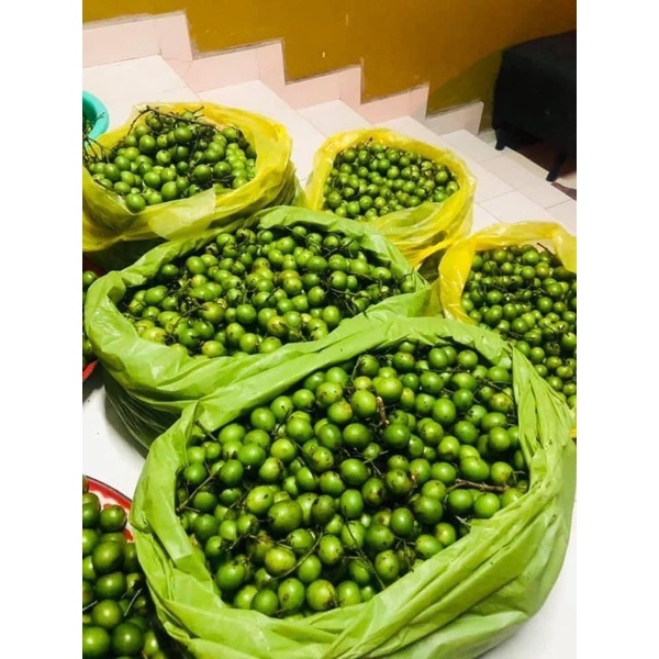 Buah Star Buah Kundang Muda Dari Pokok 500grm 1kg Shopee Malaysia