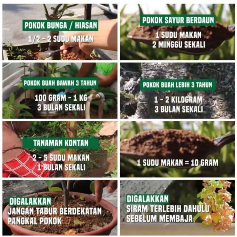 Buy Baja Milagro 100 Organik Subur Buah Buahan Tanaman Sayuran Seetracker Malaysia