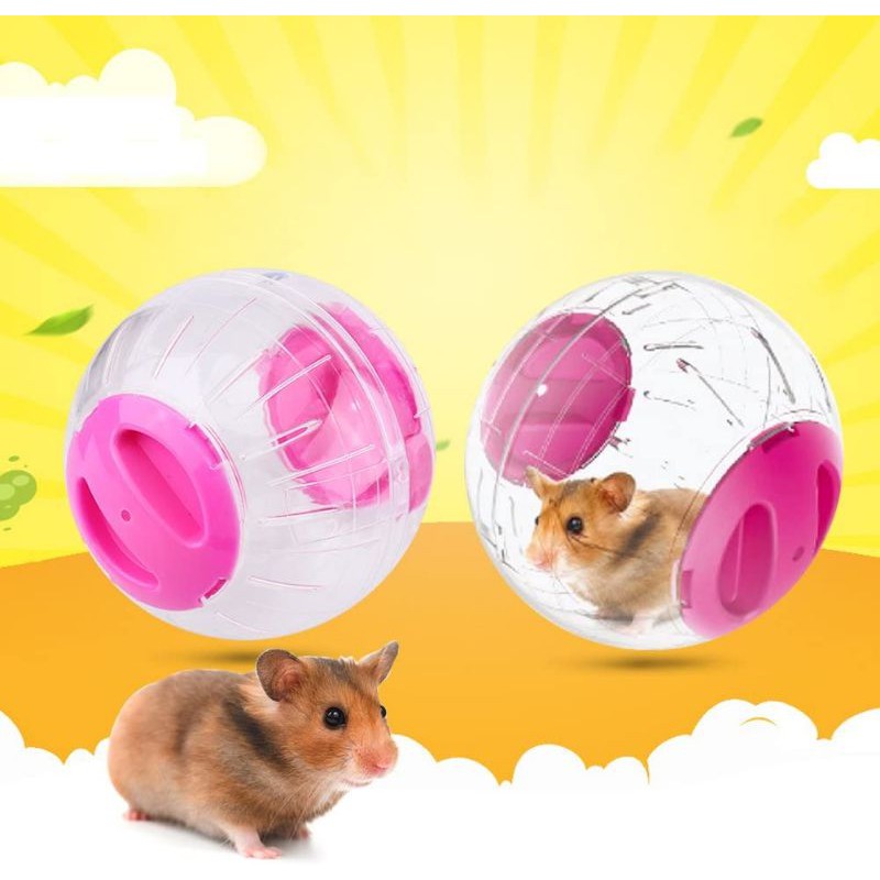 🔥Ready Stock🔥Hamster Exercise Ball Mini Fashion Plastic Gerbil Toy