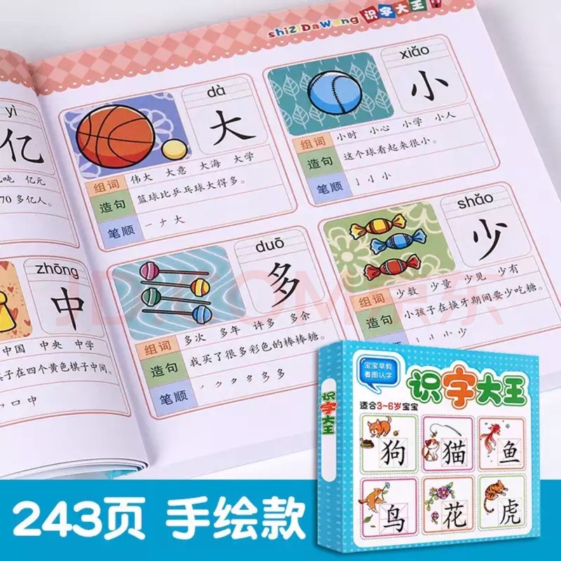 识字大王 儿童看图识字幼儿识字书 宝宝早教启蒙 Children's Baby Early Recognition Chinese Character Learning Book