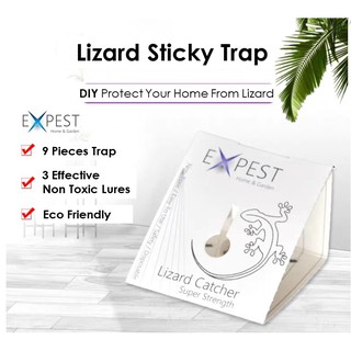 Racun,Ubat Cicak (Jenis Krim) / Lizard Killing Bait Poison 
