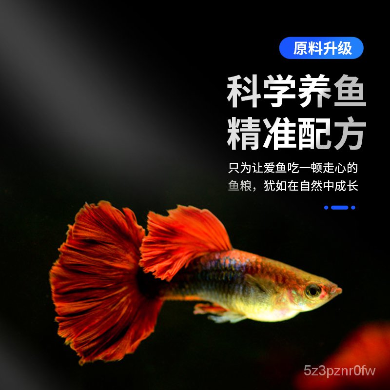 Fish Food 孔雀鱼饲料金鱼鱼粮小型鱼专用幼鱼鱼苗热带鱼斗鱼灯鱼鱼食小颗粒