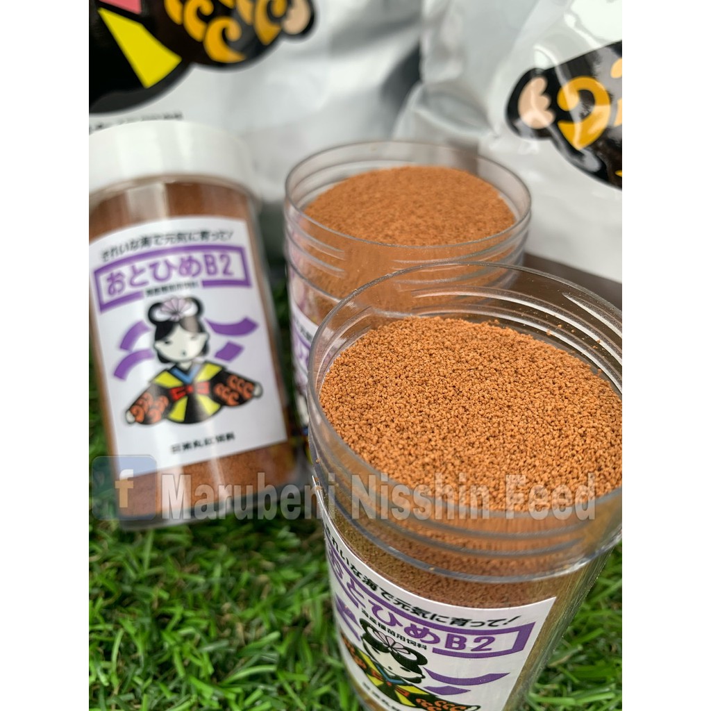 Otohime B2 Feed Available Abvs Aqua Farm India Facebook
