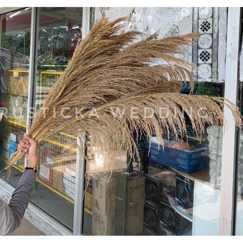 Daun Pampas Kering Artificial Dry Leaves Wedding Flower Daun Pampas Kering Artificial Dry Leaves Wedding Flower