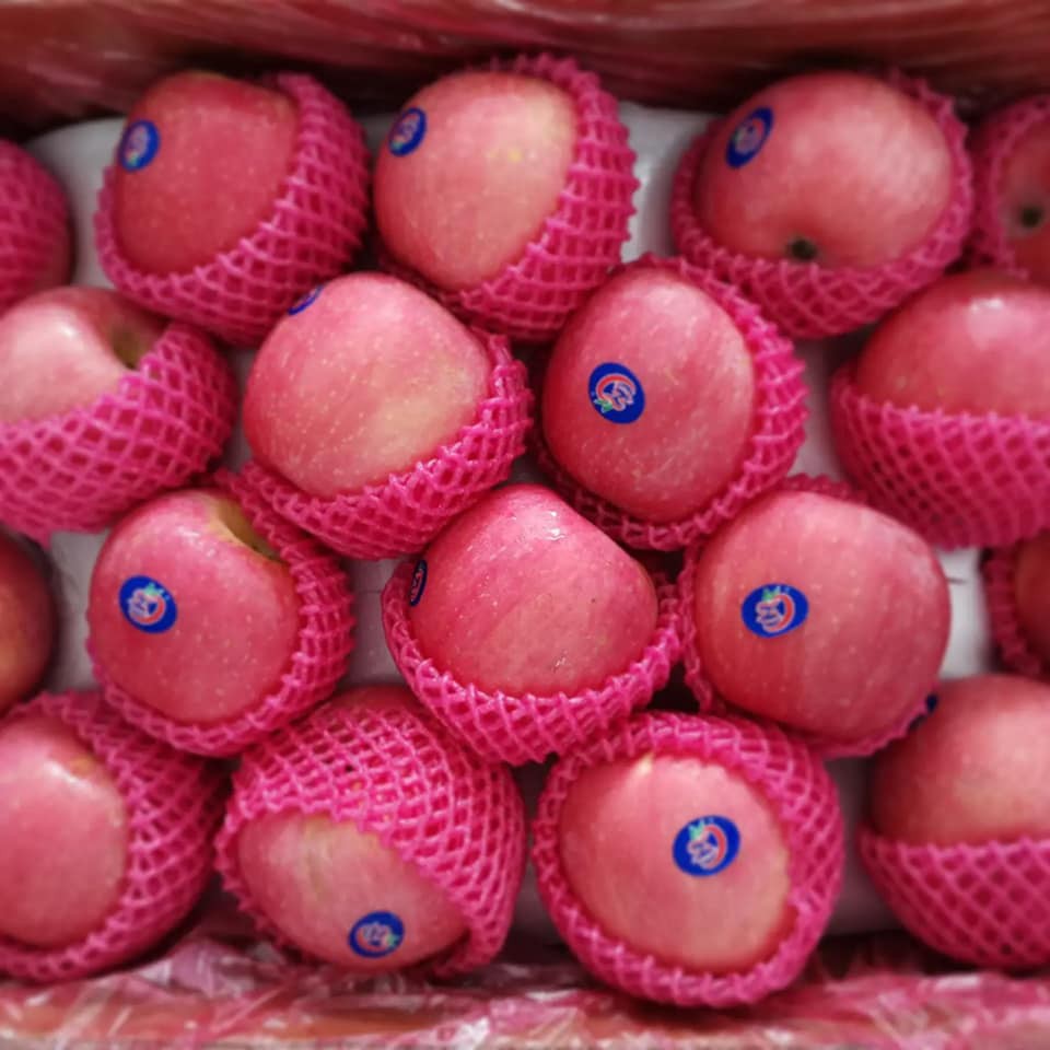 China Fuji Apple (M) Shopee Malaysia