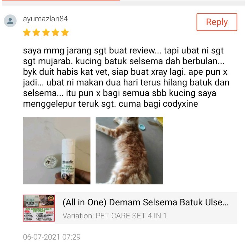 Ubat Kucing Batuk Selsema - Kicau Sejati - kotamin untuk kucing