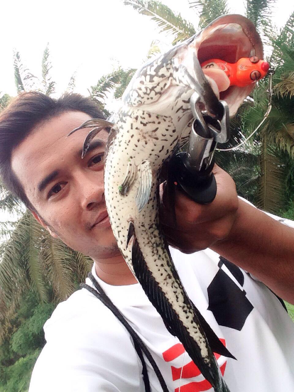 EXP Bum Bee 2 Jump Frog Wood Snakehead Fishing Lure Haruan Toman Katak  Casting Frog Bait Thailand Penang, KL, Malaysia Supplier, Manufacturer,  Wholesaler, Distributor, Specialist