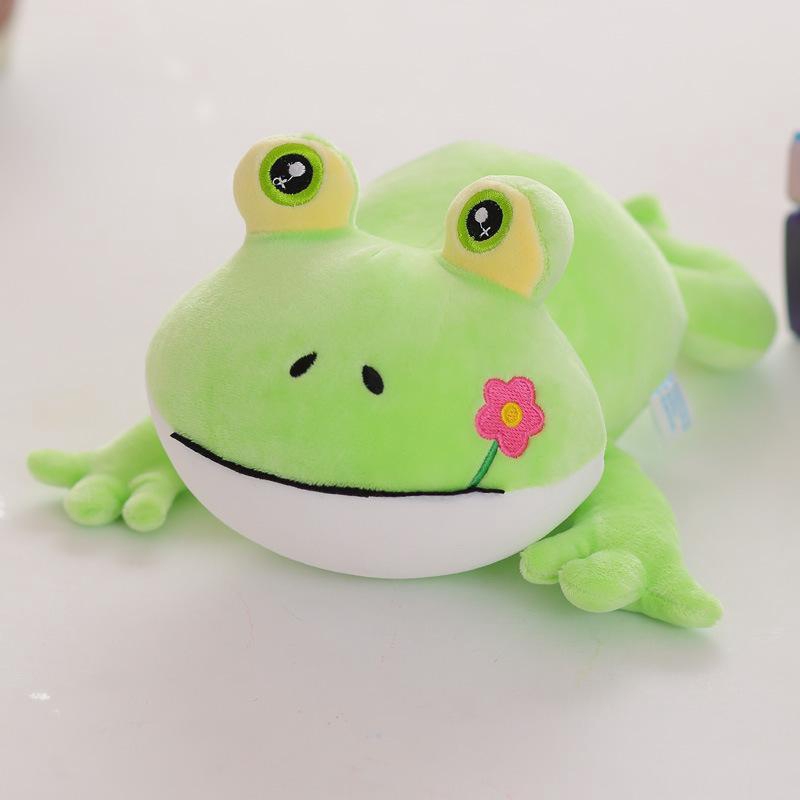 teddy bear frog