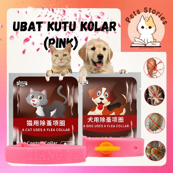 Buy Pet Cat Anti Flea Prevention Pink u0026 Grey Collar Ubat Kutu 