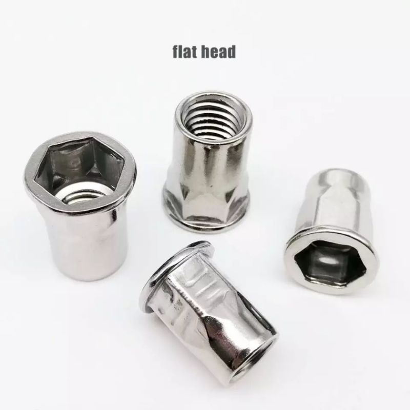 (Hex) M4 M12 Stainless Steel Semi Hex Hexagon Flat Head Binding Rivet