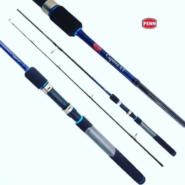 penn captiva rod