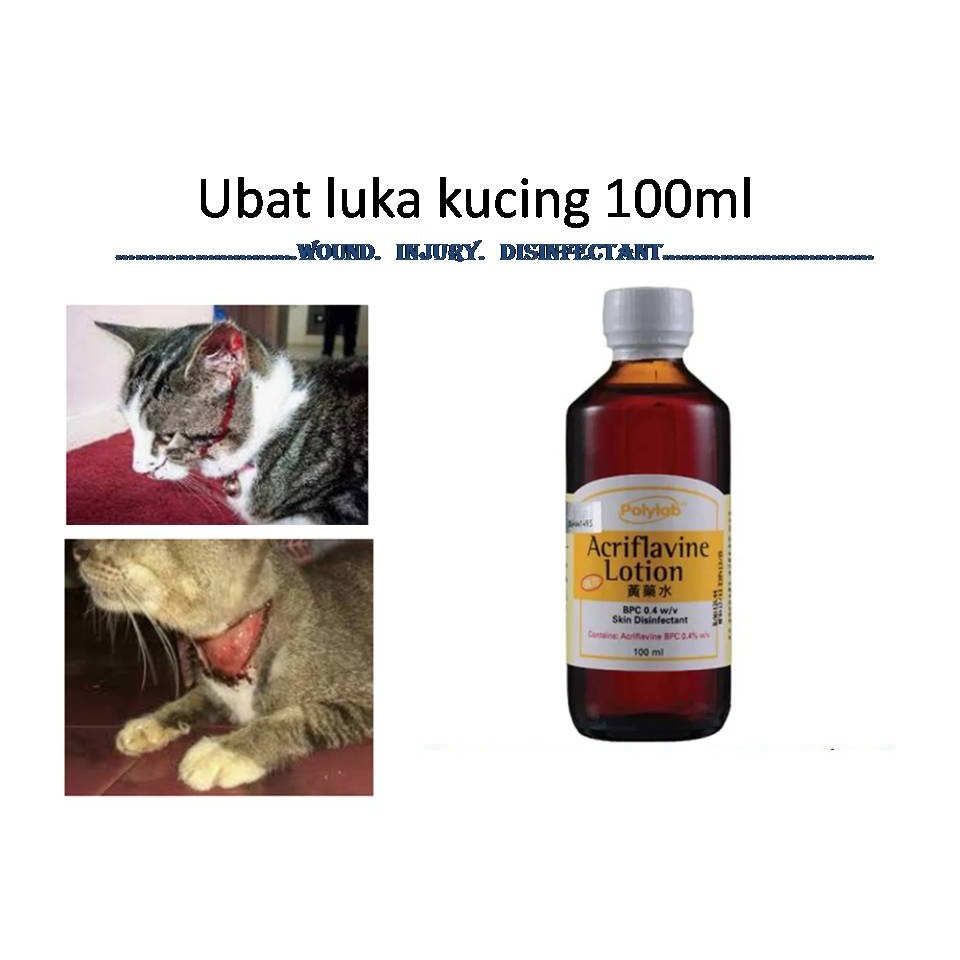 Ubat Cuci Luka Kucing 100ml Shopee Malaysia