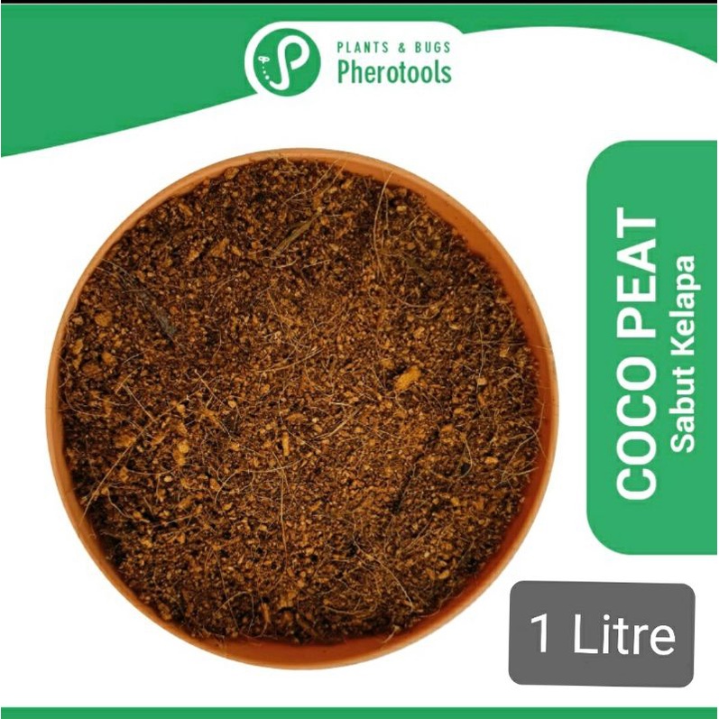 Pherotools Coco Peat /Coco Coir/ cocopeat (Sabut Kelapa Growing Medium