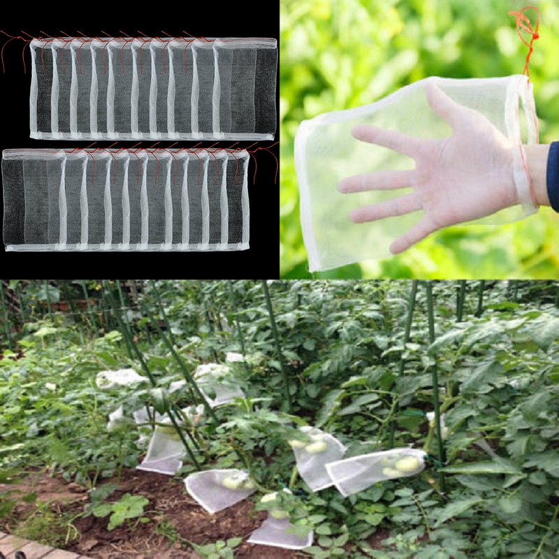 Details about   10-100pcs Garden Plant Fruit Protect Drawstring Net Bag Against Insect Pest Bird 