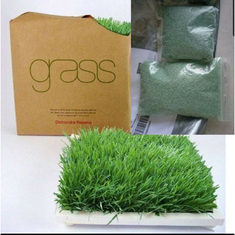 aaa-quality-japanese-grass-high-grade-seed-shopee-malaysia