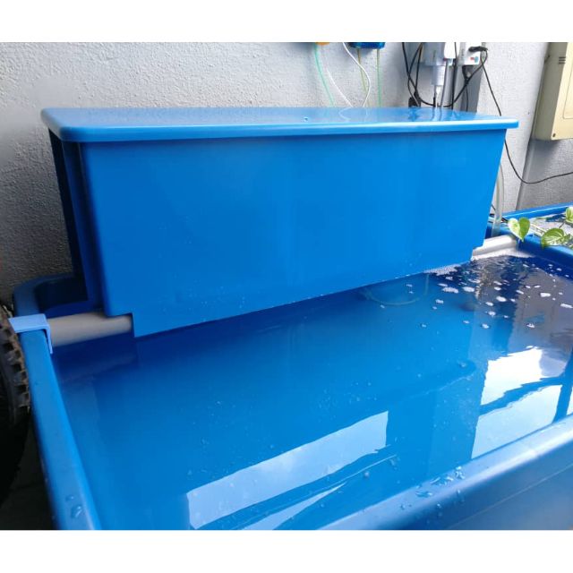 Top filter aquarium tank plastic fiber tank ikan guppy  