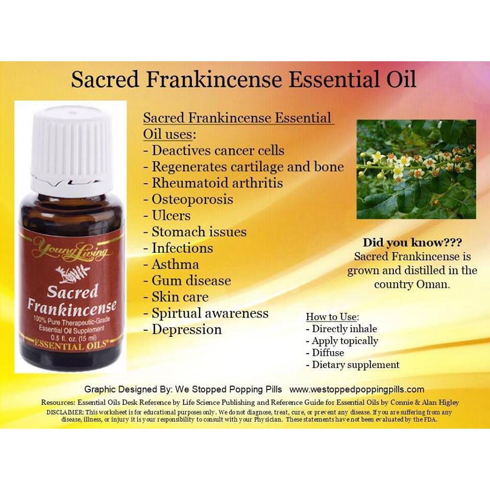 Buy Young Livings Sacred Frankincense Essential Oil 15ml Sweethome Sweet Home 08 2020 Yl Free Gift Seetracker Malaysia