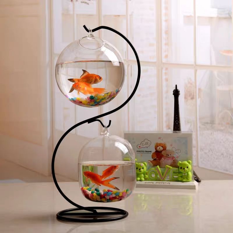Bekas Kaca Gantung Ikan Silinder Kaca Shopee Malaysia